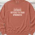 My Dog & I Sweatshirt - Terracotta