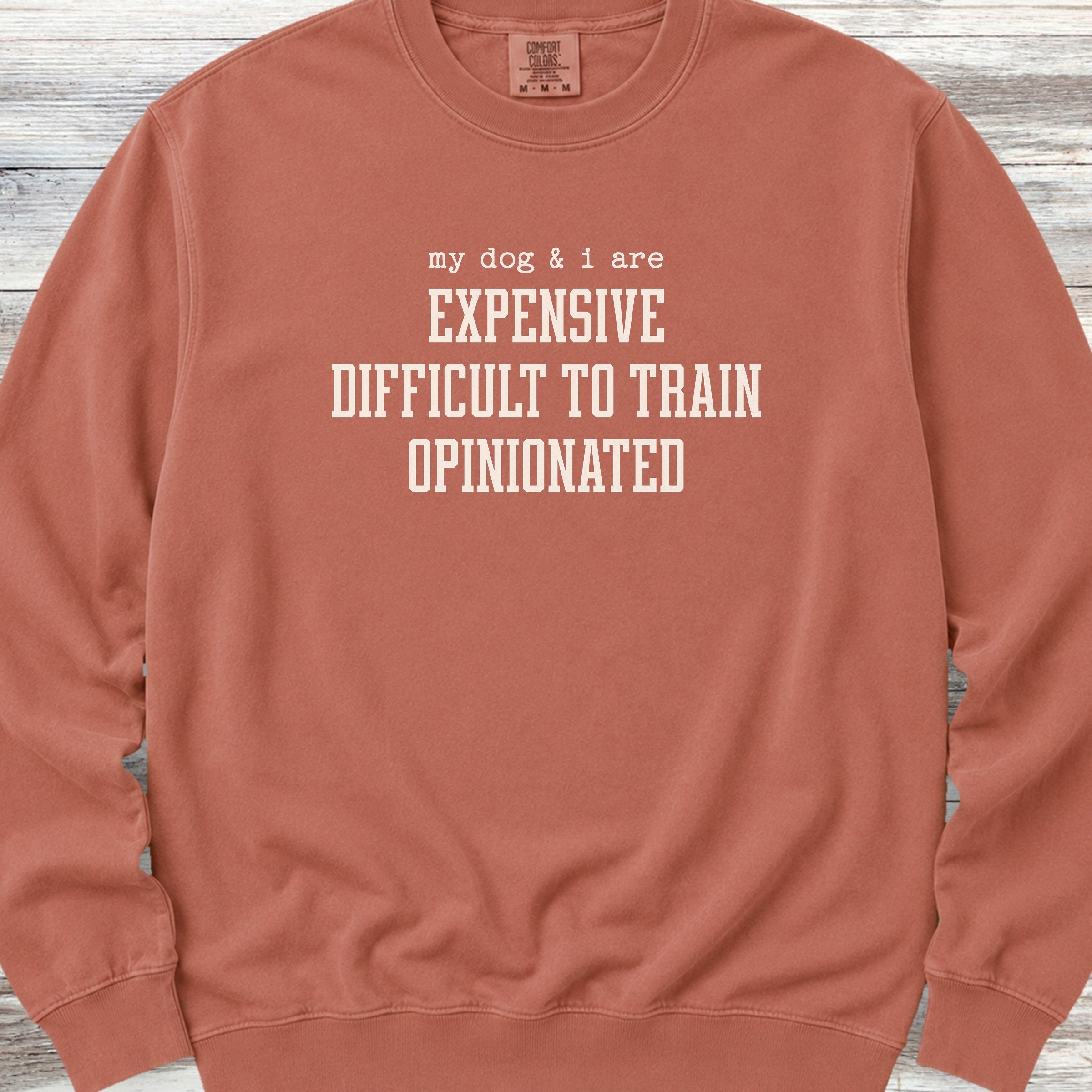 My Dog & I Sweatshirt - Terracotta