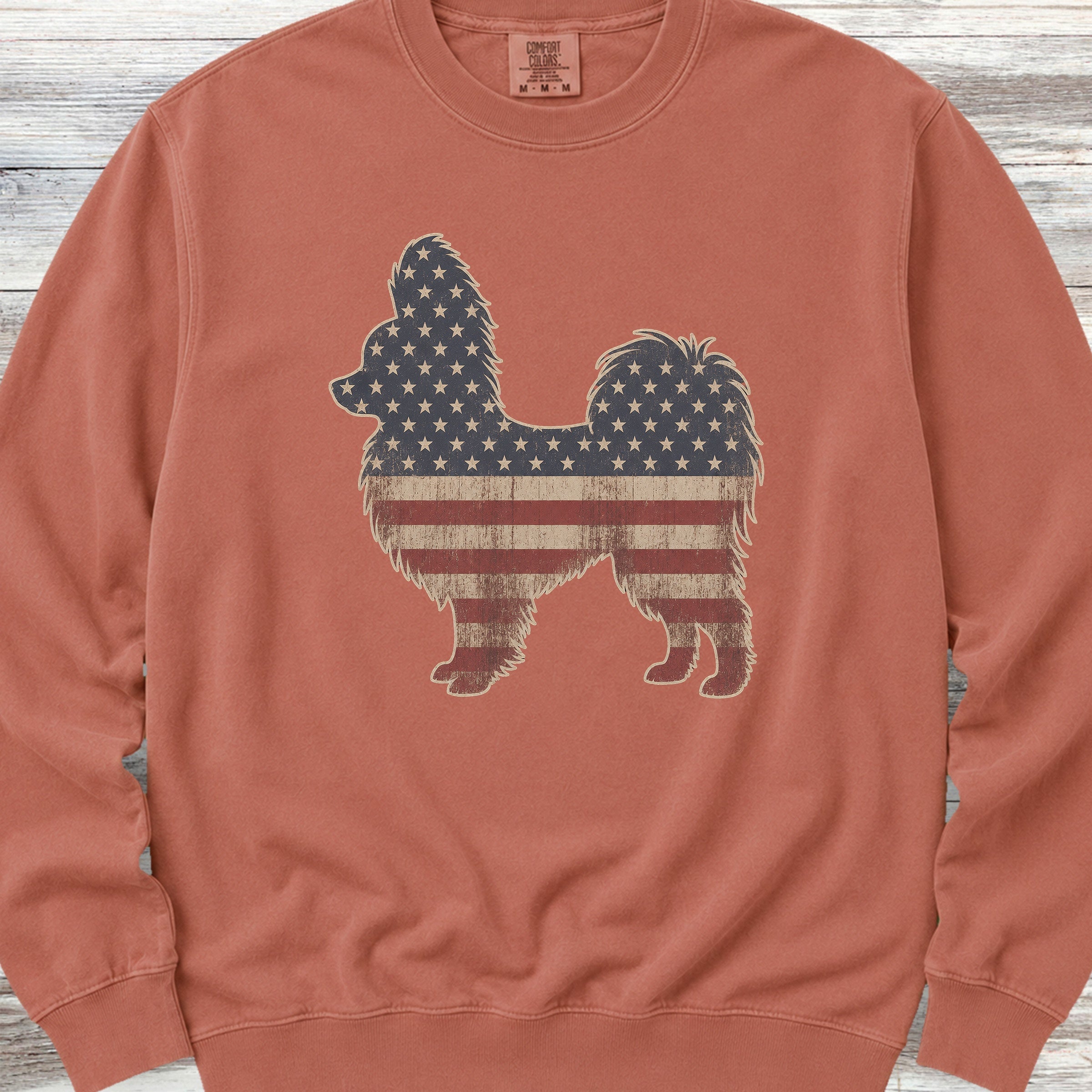 Papillon Vintage USA Sweatshirt - Terracotta
