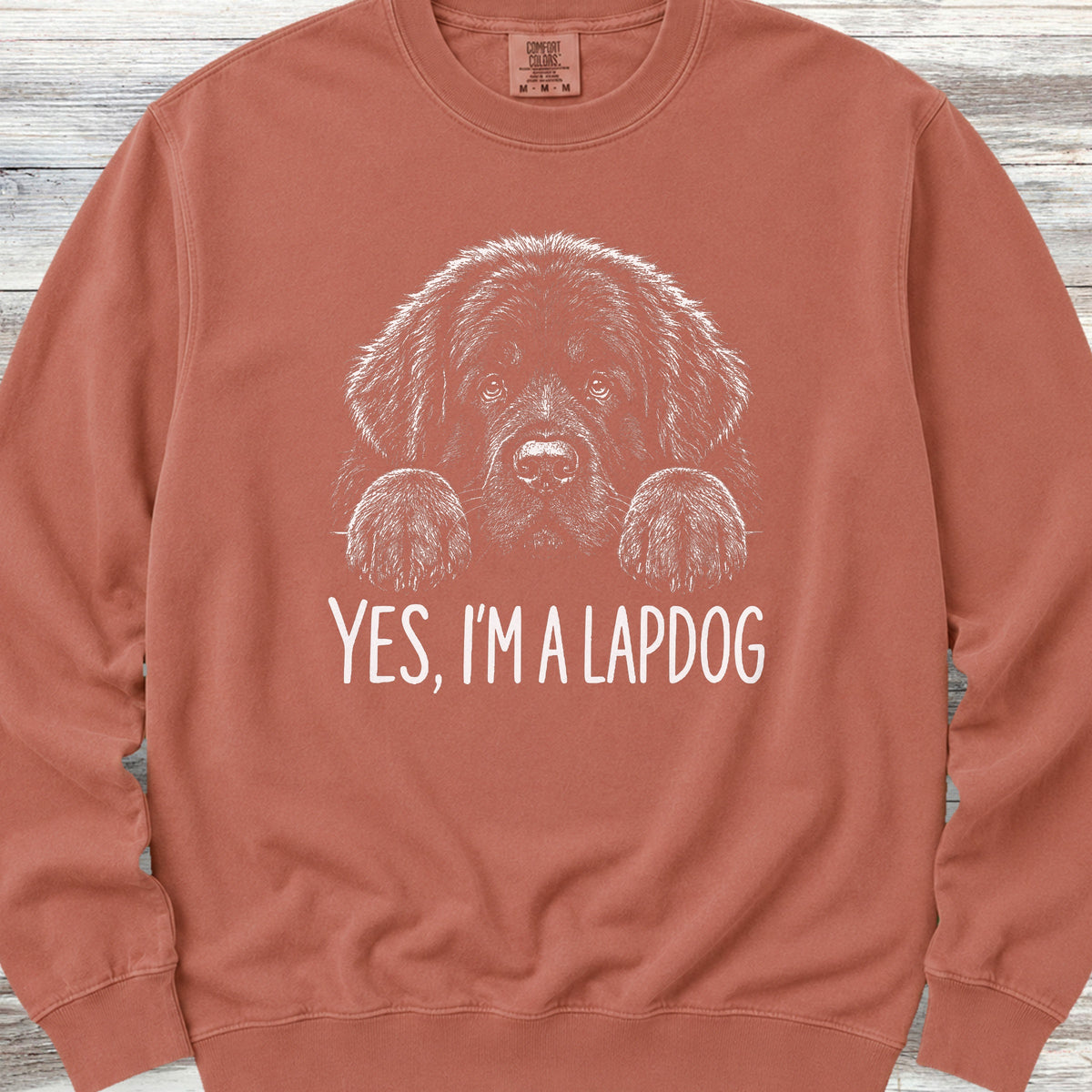 Newfoundland Lap Dog Sweatshirt - Terracotta