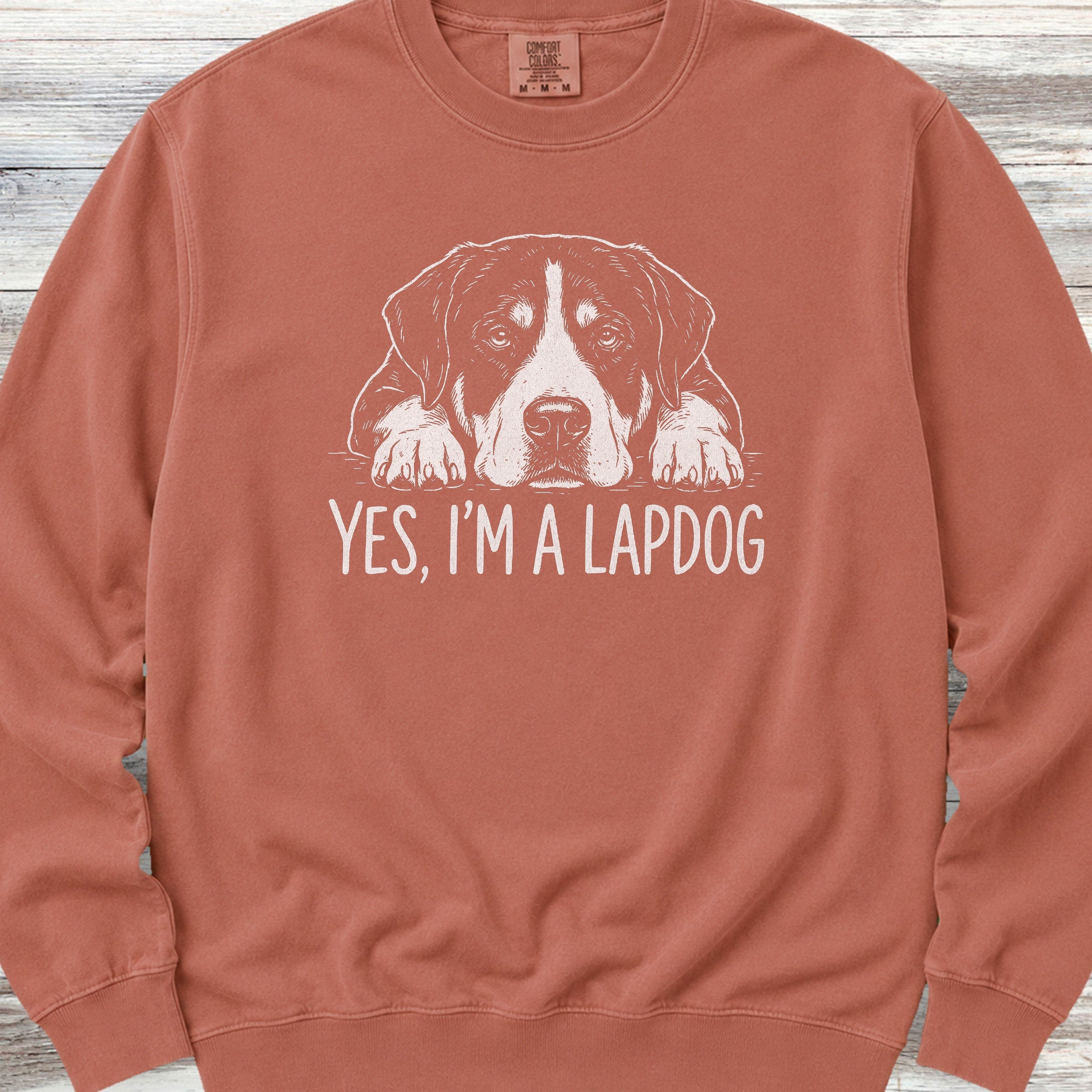 Swiss Mountain Dog Lap Dog Sweatshirt - Terracotta