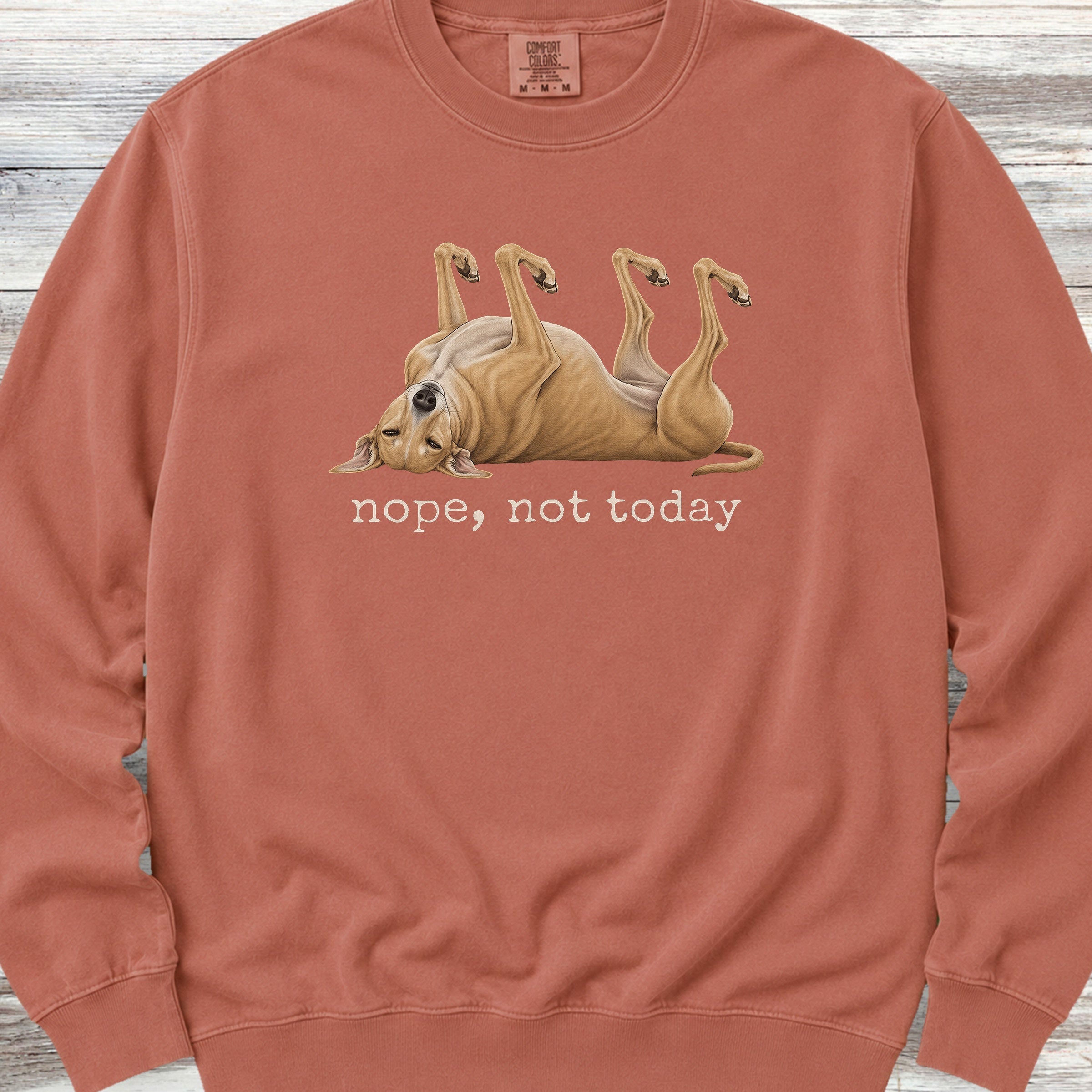 Greyhound Nope Sweatshirt - Terracotta
