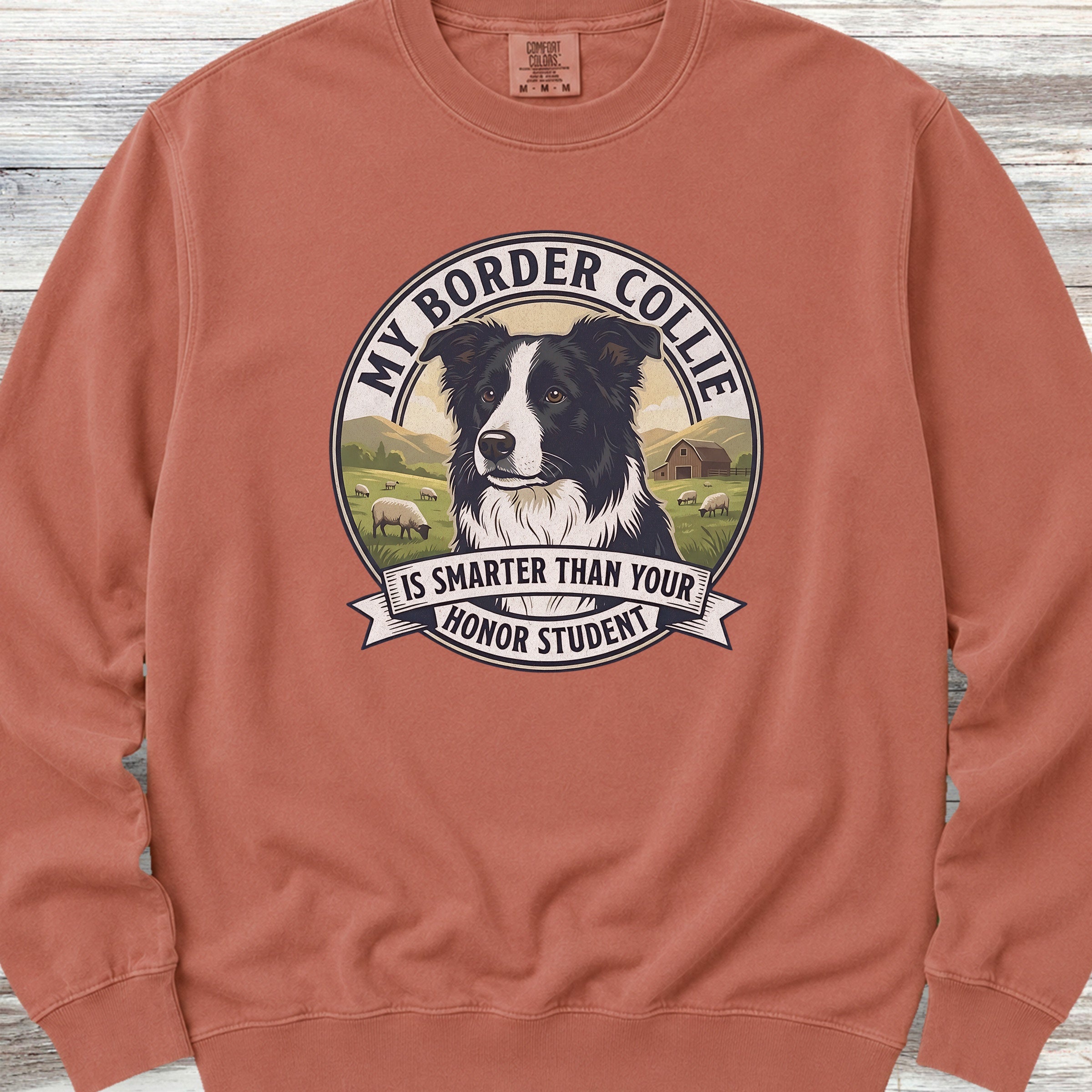 Border Collie Smart Sweatshirt - Terracotta