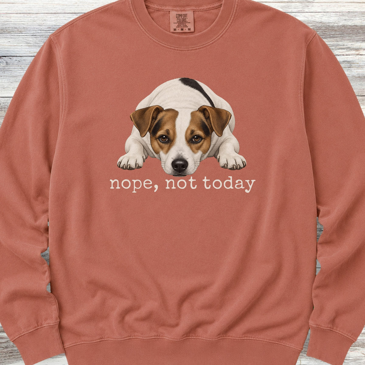 Jack Russell Nope Sweatshirt - Terracotta