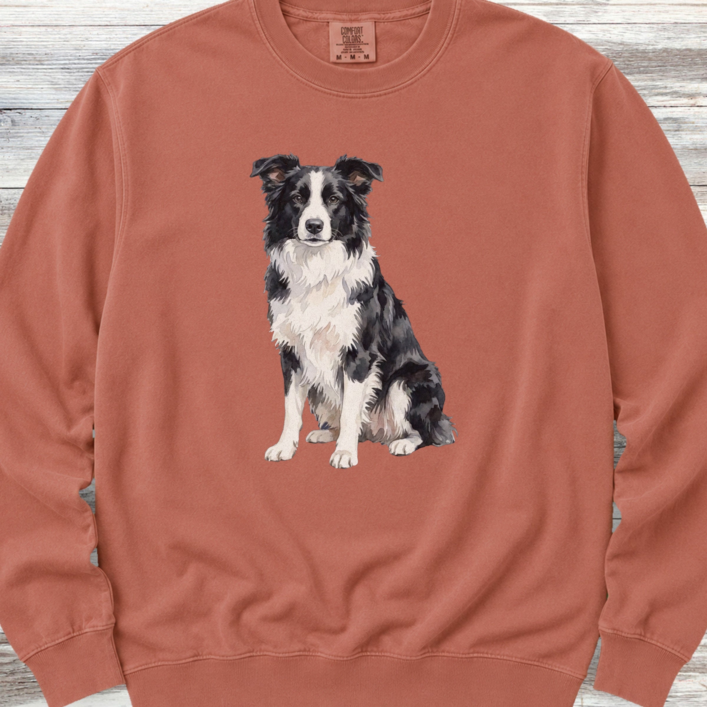 Border Collie Watercolor Sweatshirt - Terracotta