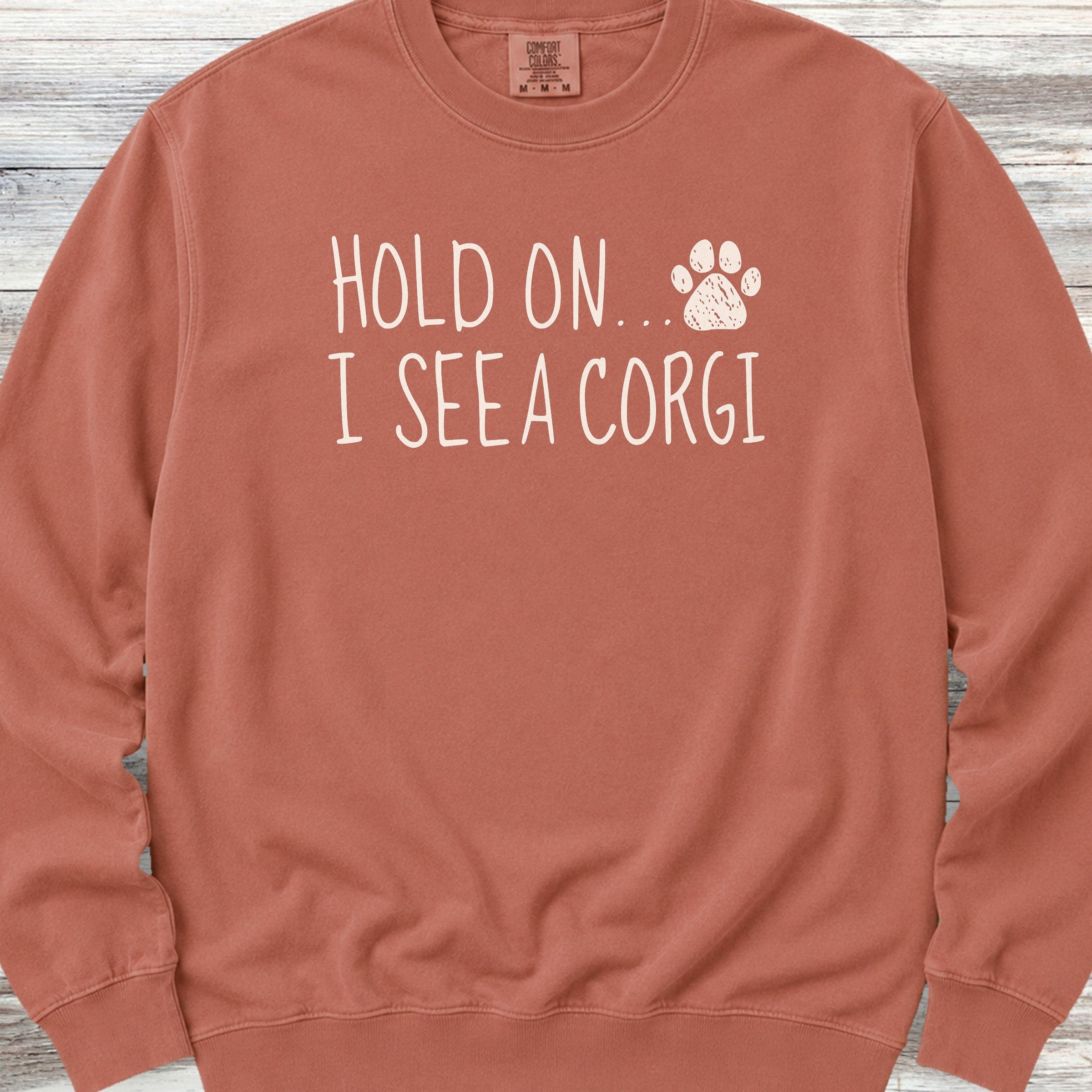 Corgi Hold On Sweatshirt - Terracotta