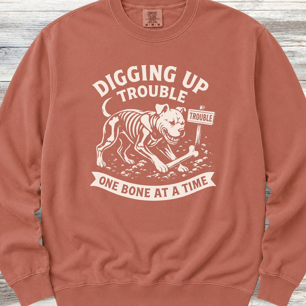 Pit Bull Trouble Sweatshirt - Terracotta