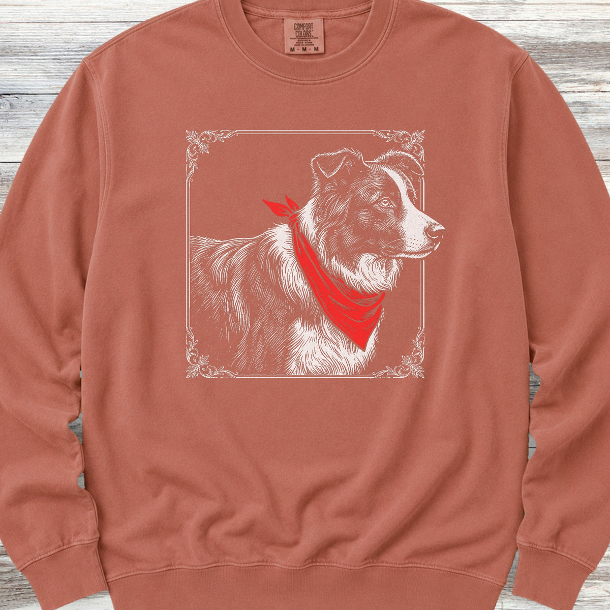 Border Collie Etching Sweatshirt - Terracotta