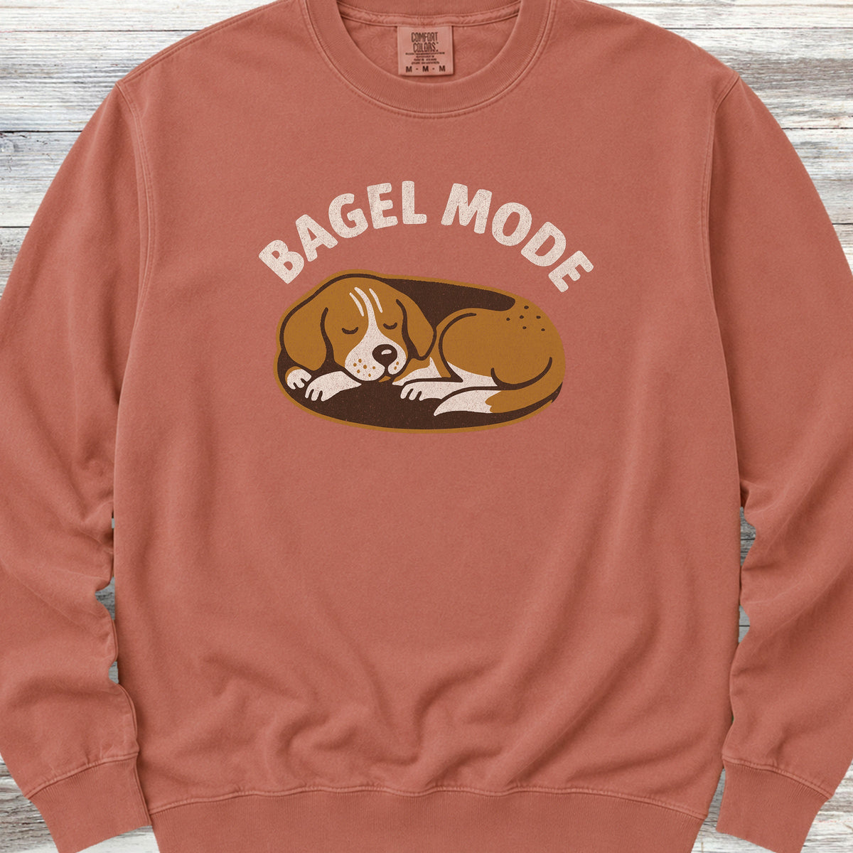 Sleeping Beagle Sweatshirt - Terracotta