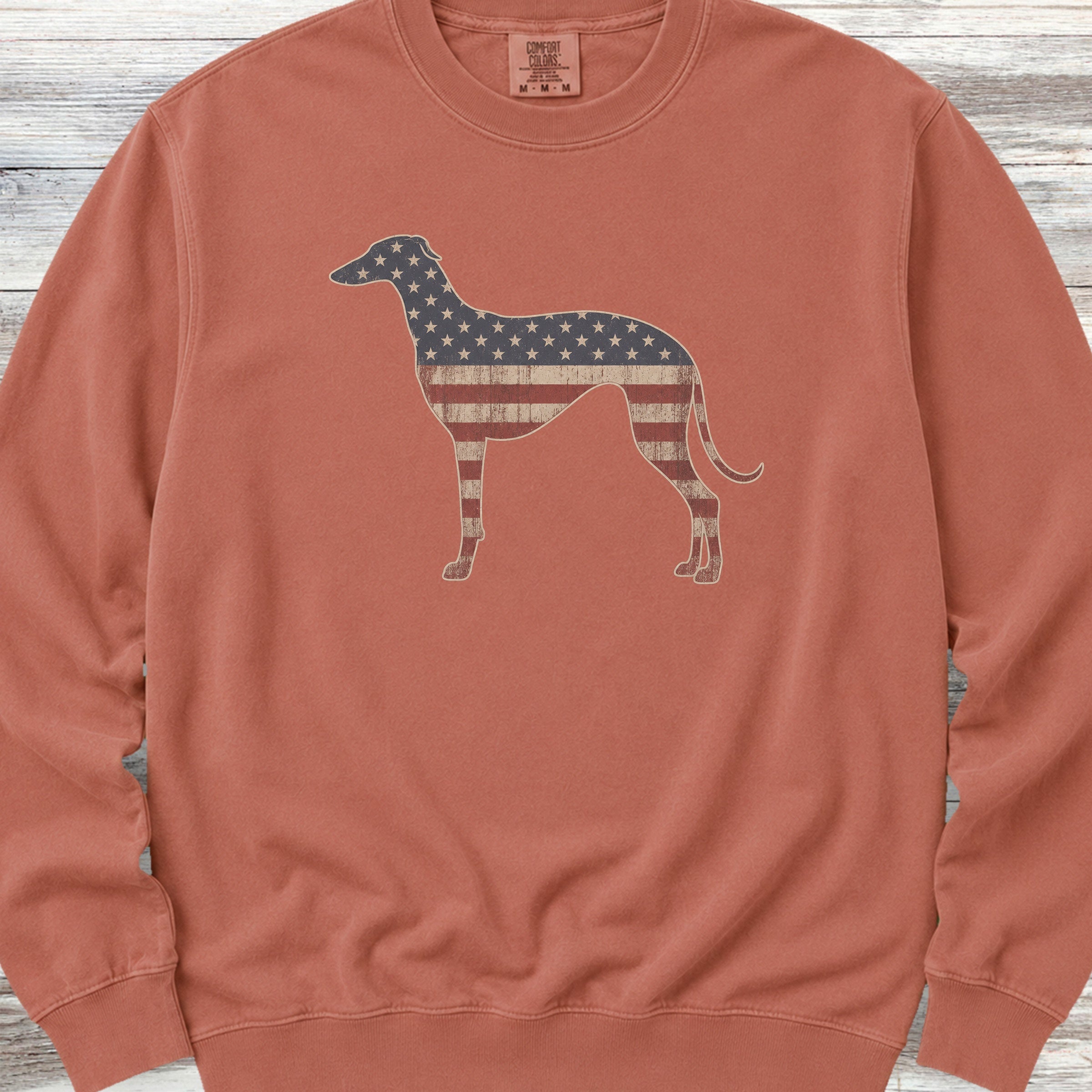 Greyhound Vintage USA Sweatshirt - Terracotta