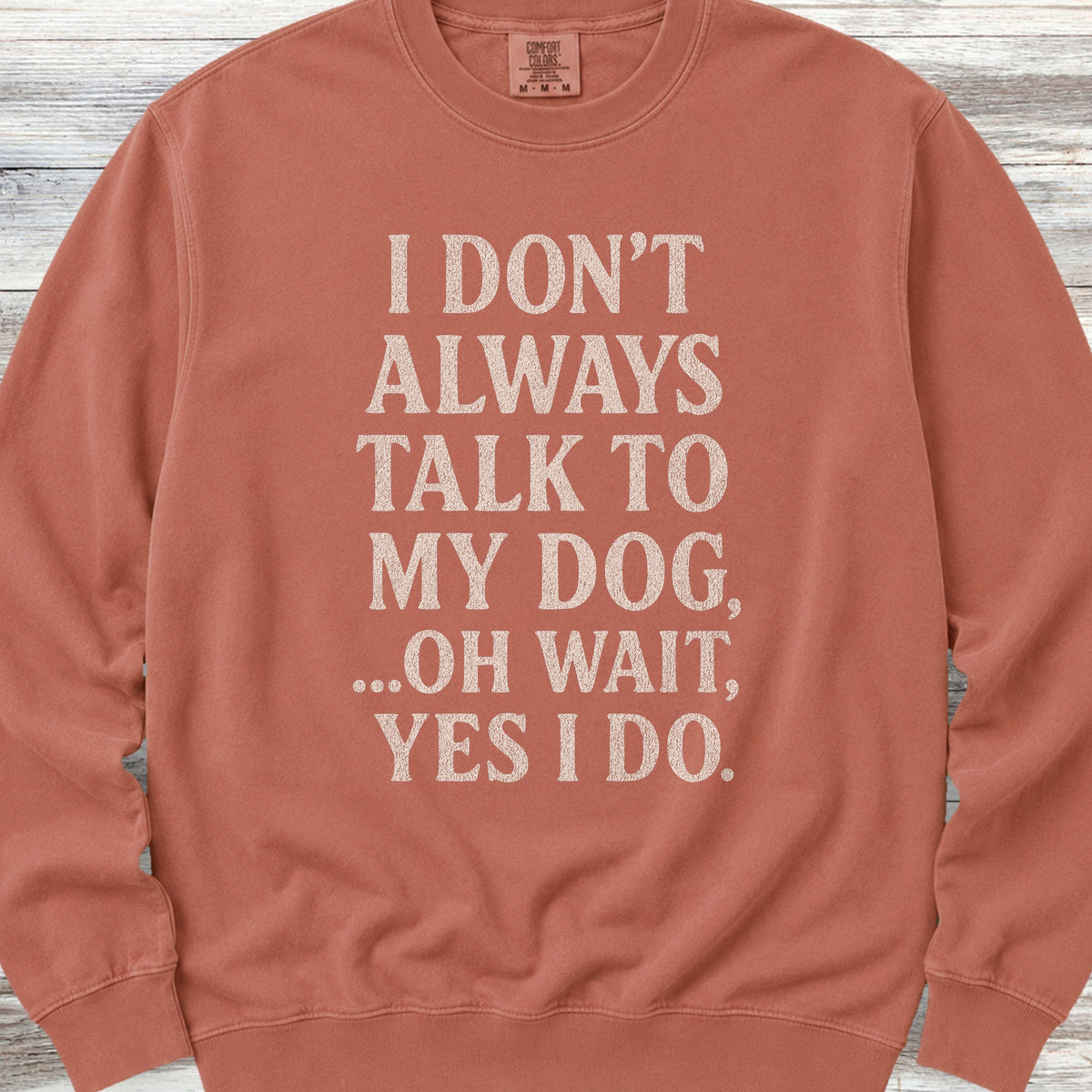 Talk to My Dog Sweatshirt - Terracotta