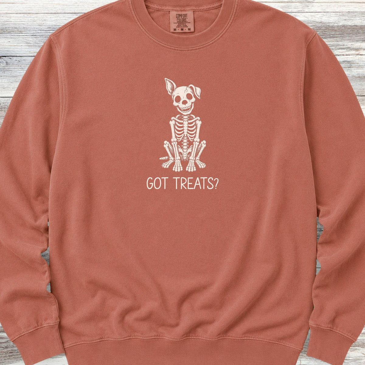 Skelly Dog Got Treats Sweatshirt - Terracotta