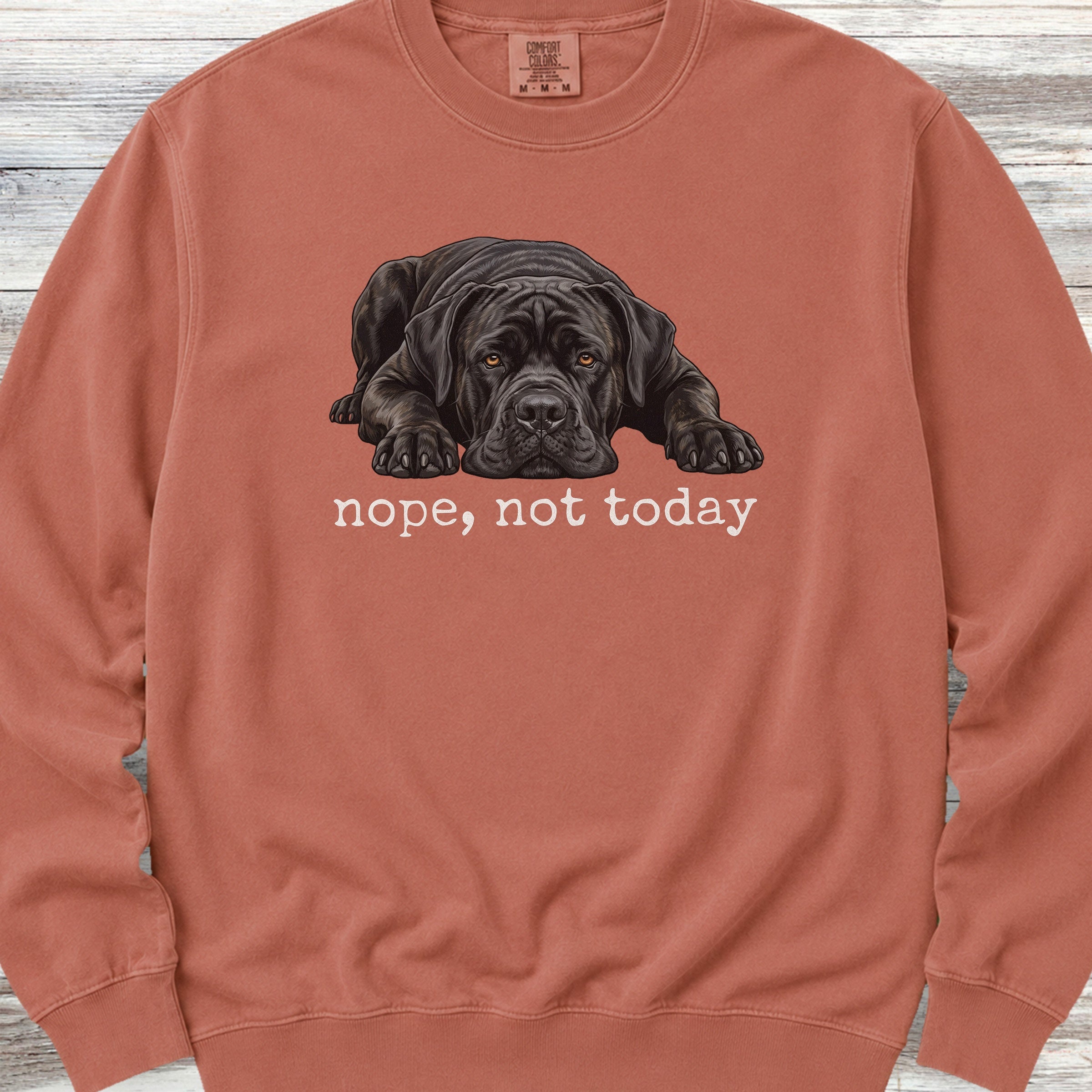 Cane Corso Nope Sweatshirt - Terracotta