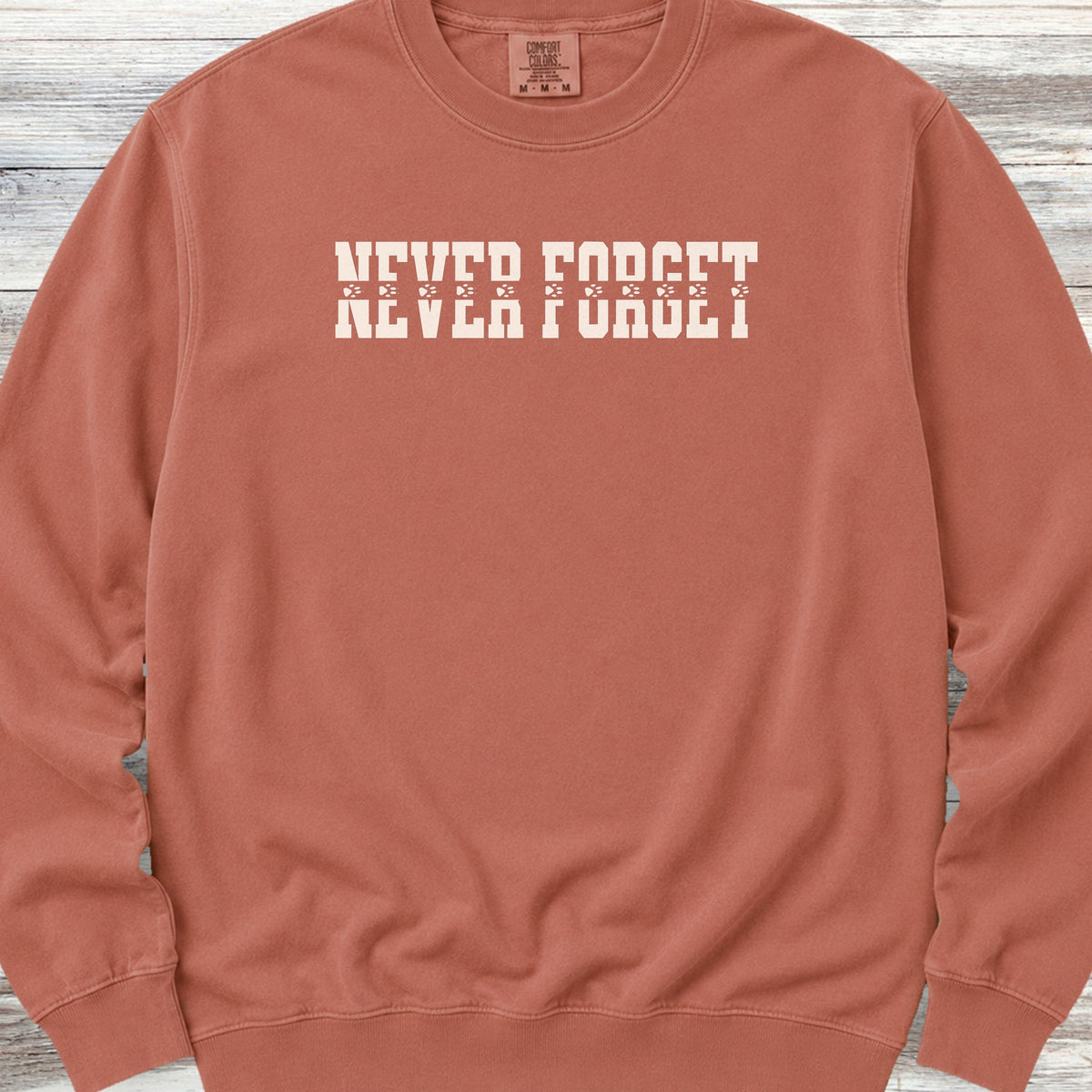 Never Forget Sweatshirt - Terracotta