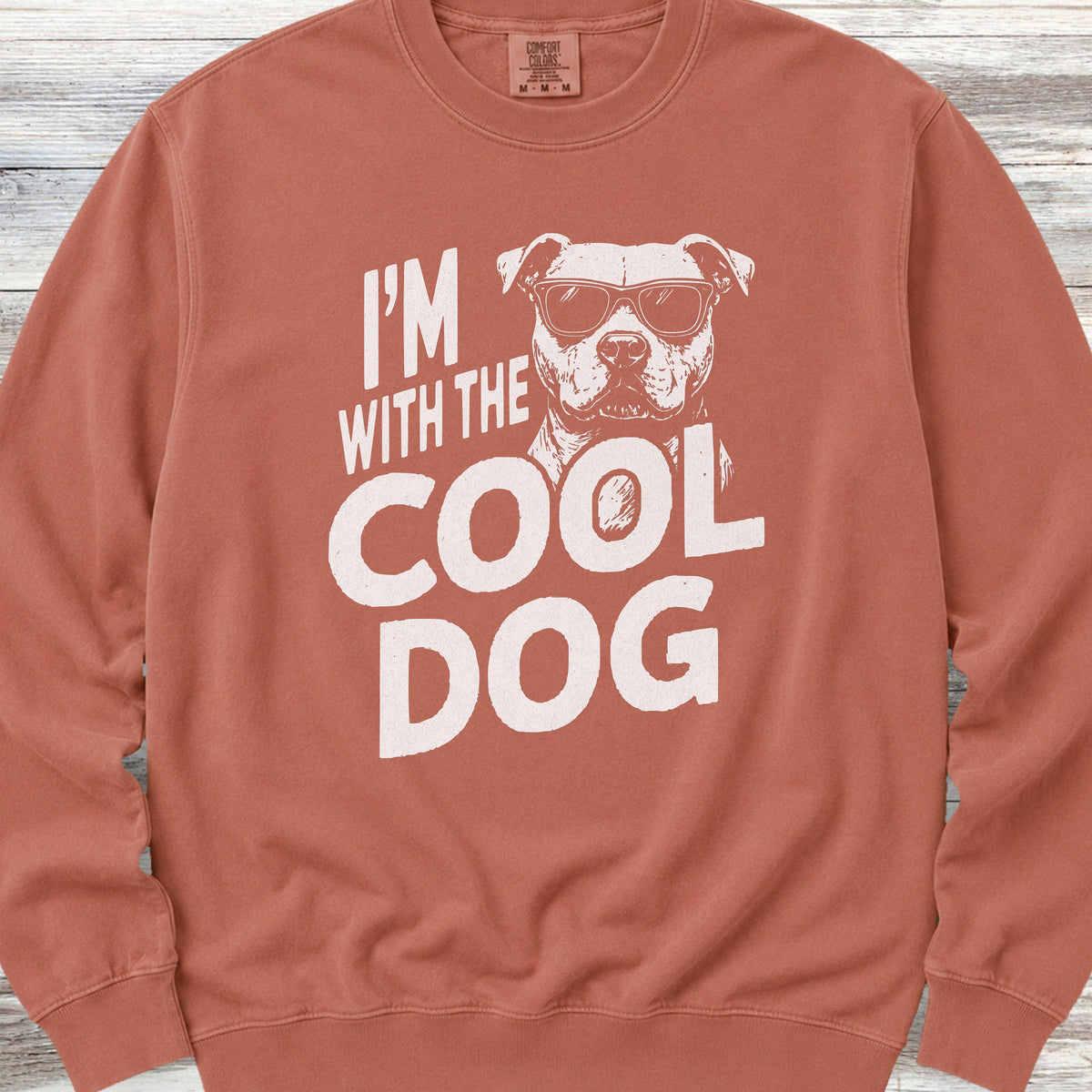 Pit Bull Cool Dog Sweatshirt - Terracotta