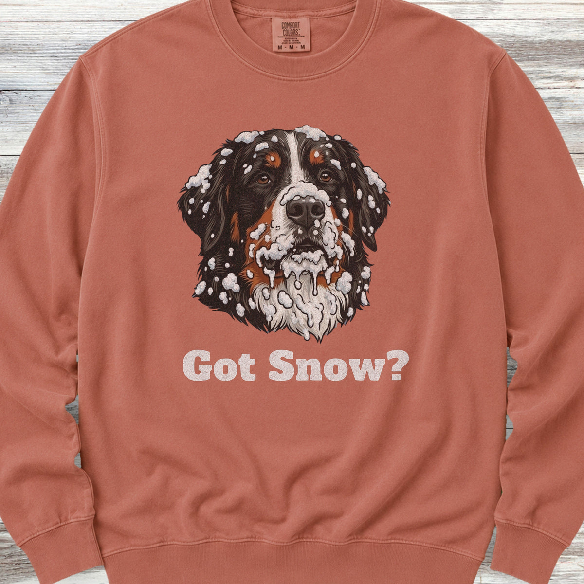 Bernese Mountain Dog Got Snow Sweatshirt - Terracotta