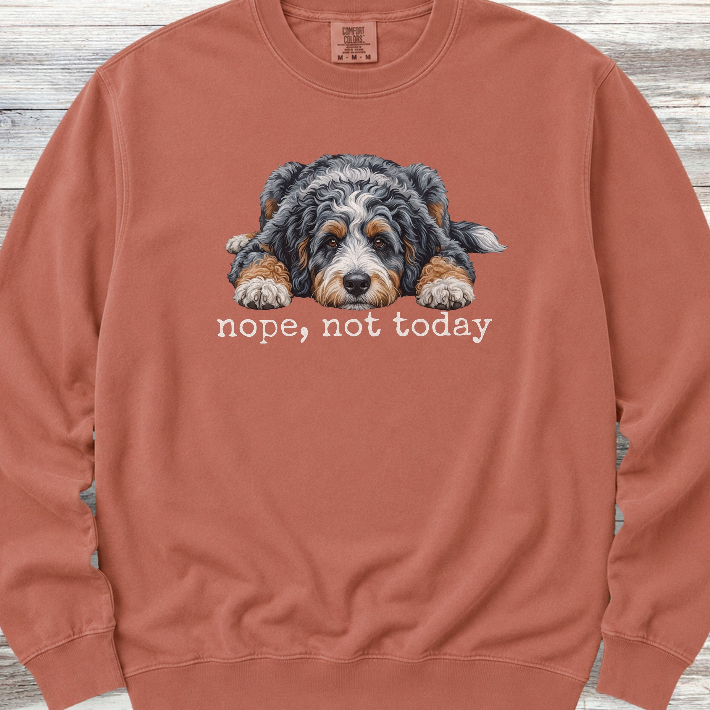 Aussiedoodle Nope Sweatshirt - Terracotta