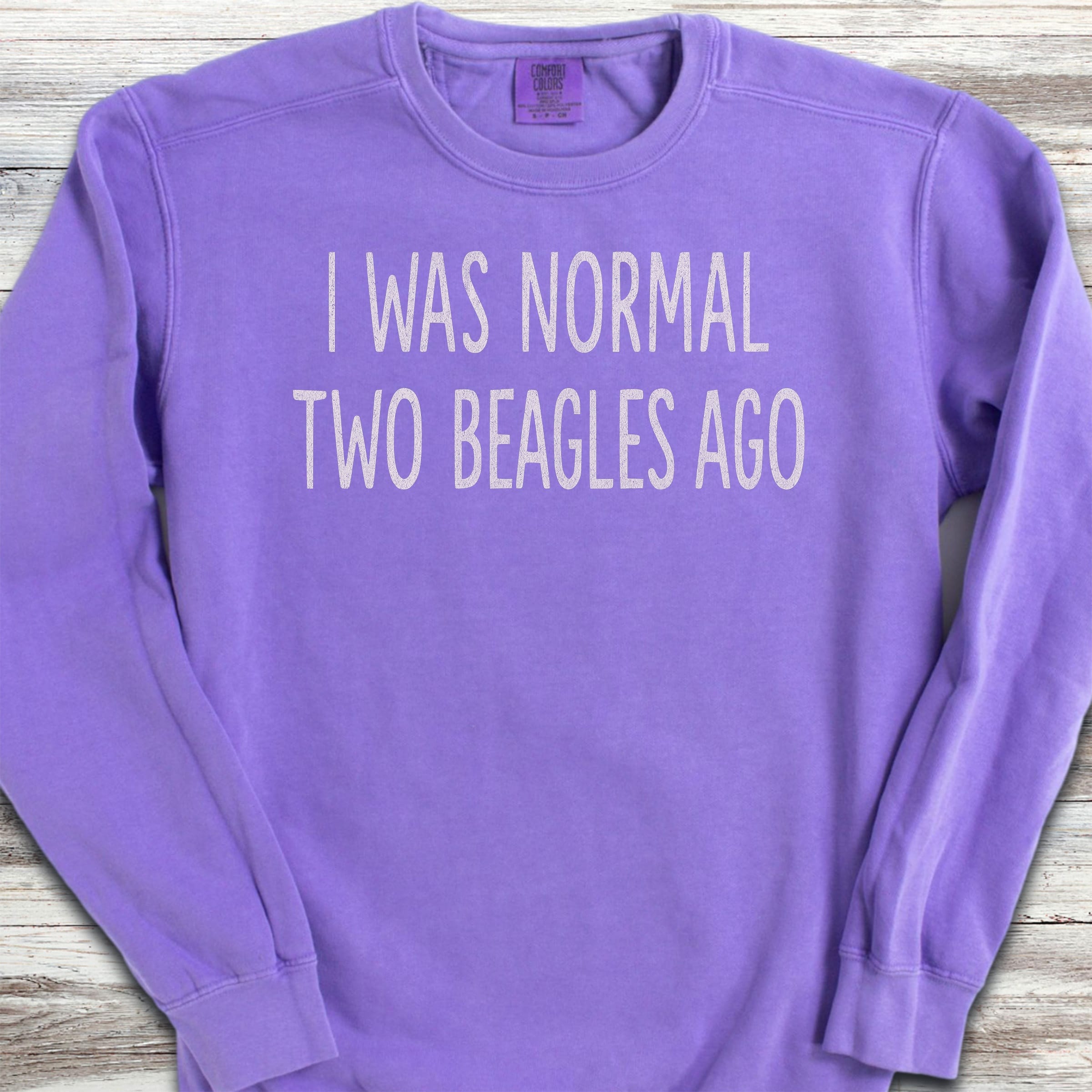 Beagle Normal Sweatshirt - Violet