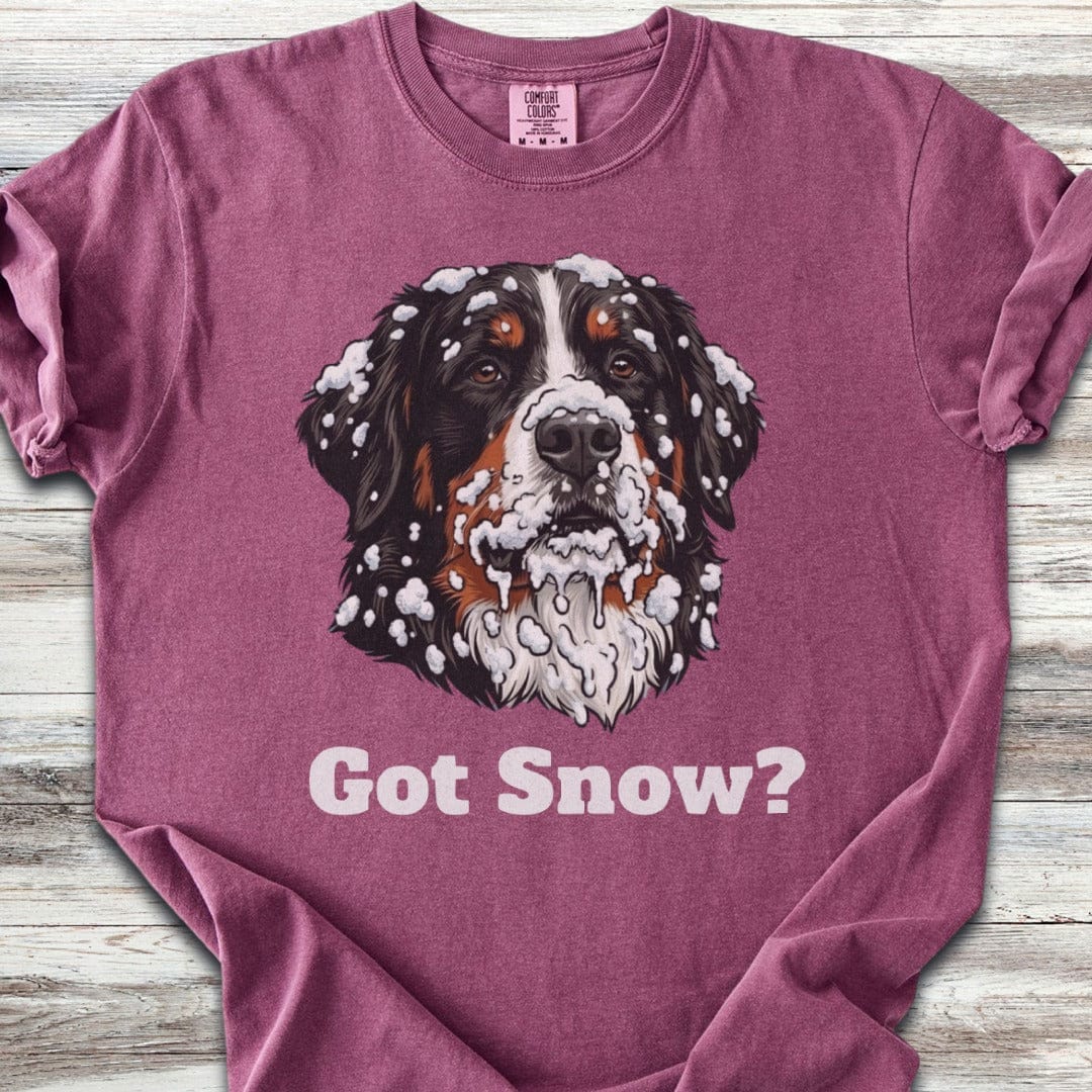 Bernese Mountain Dog Got Snow T-Shirt