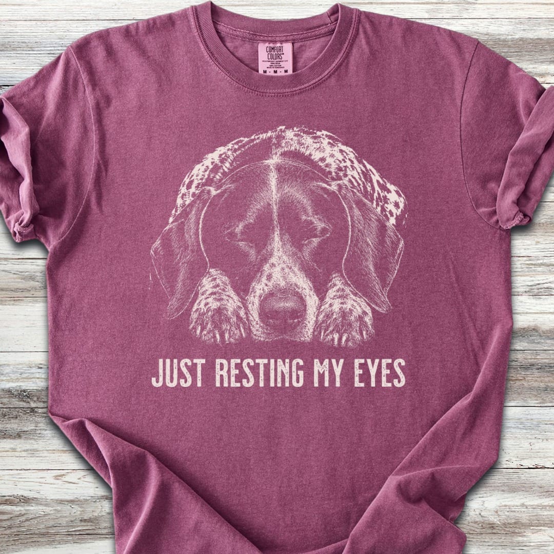 German Shorthaired Pointer Resting T-Shirt