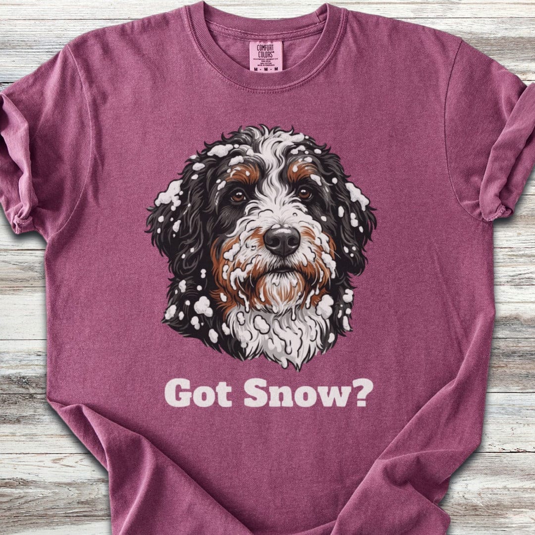 Bernedoodle Got Snow T-Shirt