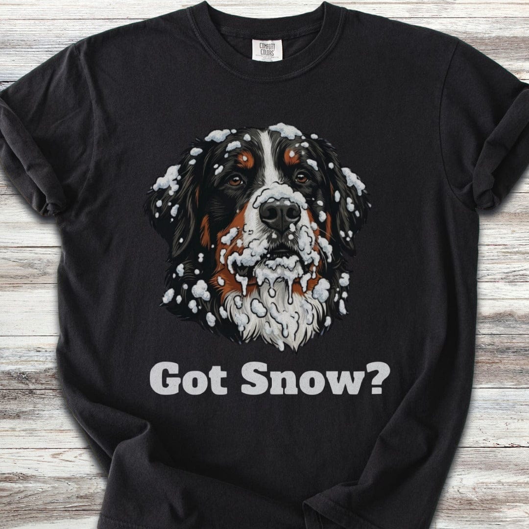 Bernese Mountain Dog Got Snow T-Shirt