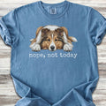 Shetland Sheepdog Nope T-Shirt