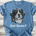 Bernese Mountain Dog Got Snow T-Shirt