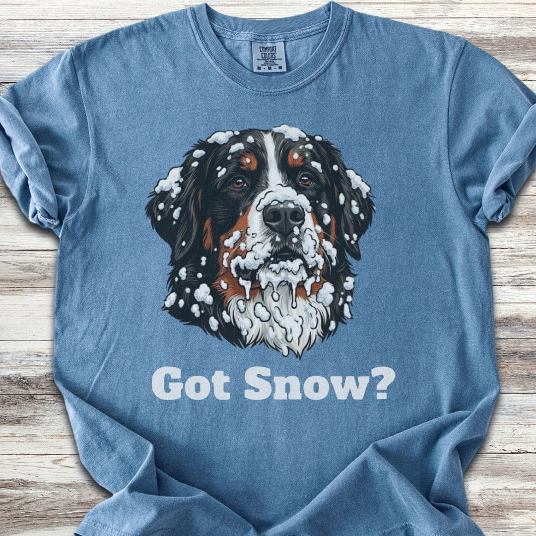 Bernese Mountain Dog Got Snow T-Shirt