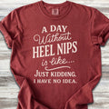 Australian Cattle Dog Days T-Shirt
