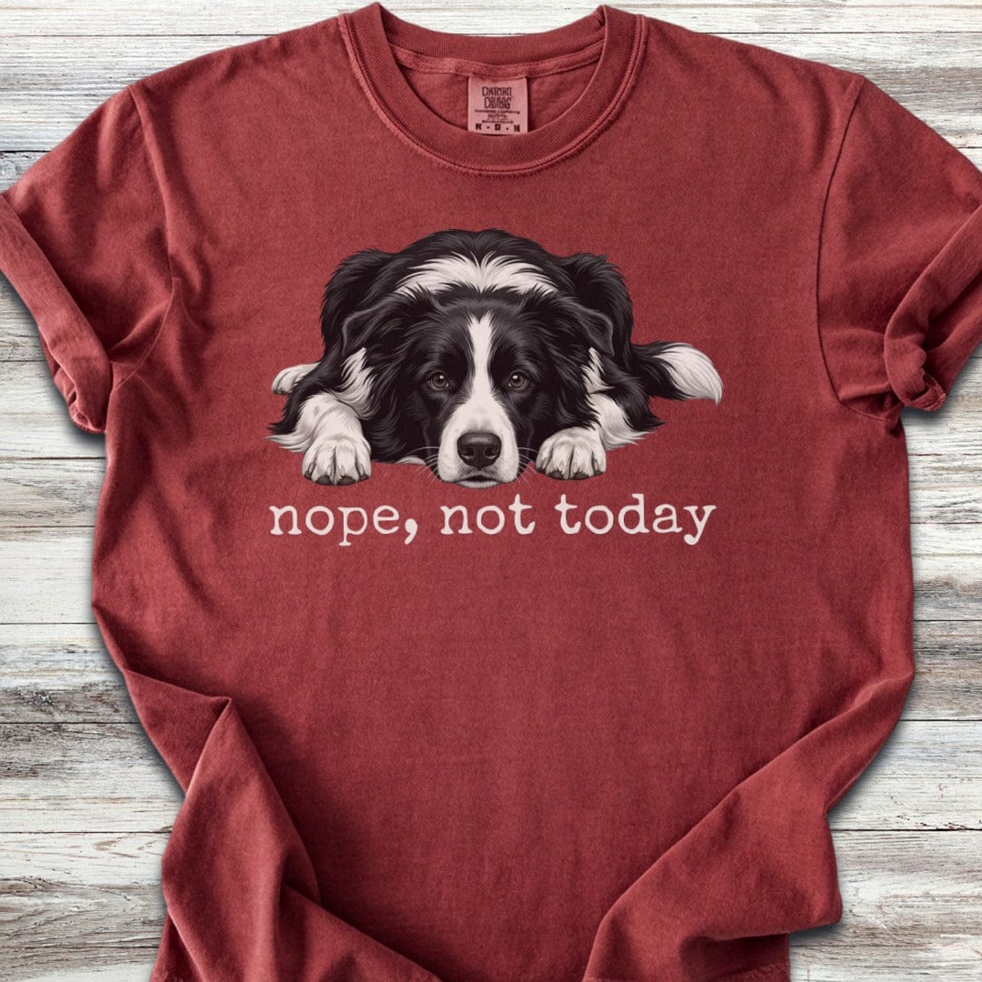 Border Collie Nope T-Shirt