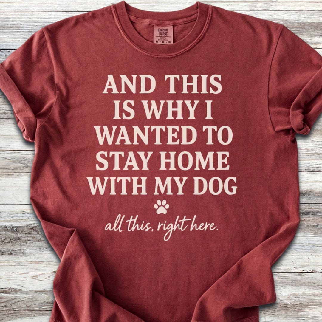 This Is Why T-Shirt