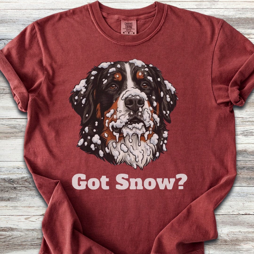 Bernese Mountain Dog Got Snow T-Shirt