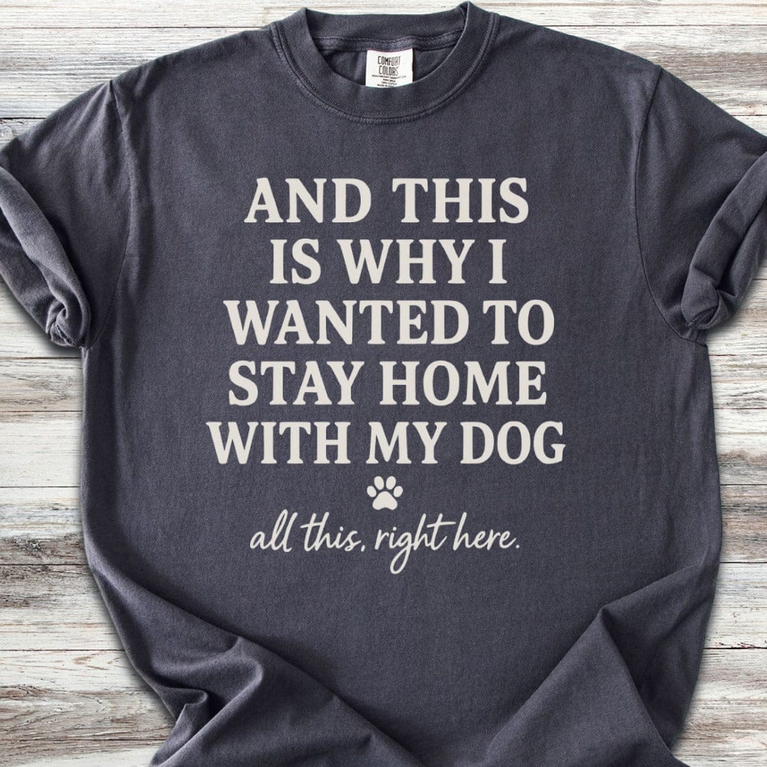 This Is Why T-Shirt