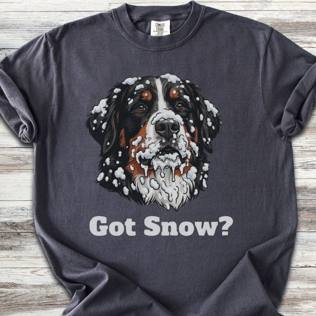 Bernese Mountain Dog Got Snow T-Shirt