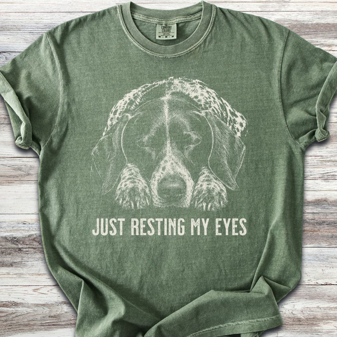 German Shorthaired Pointer Resting T-Shirt