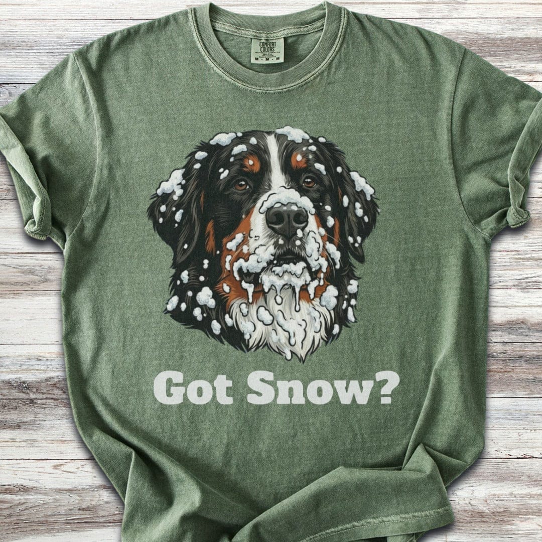 Bernese Mountain Dog Got Snow T-Shirt