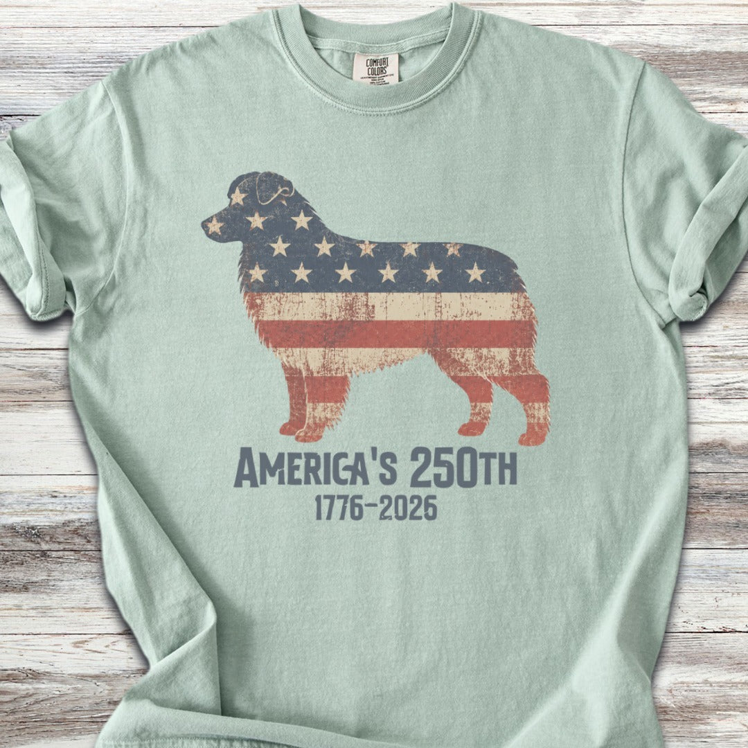 Australian Shepherd 250 - Bay