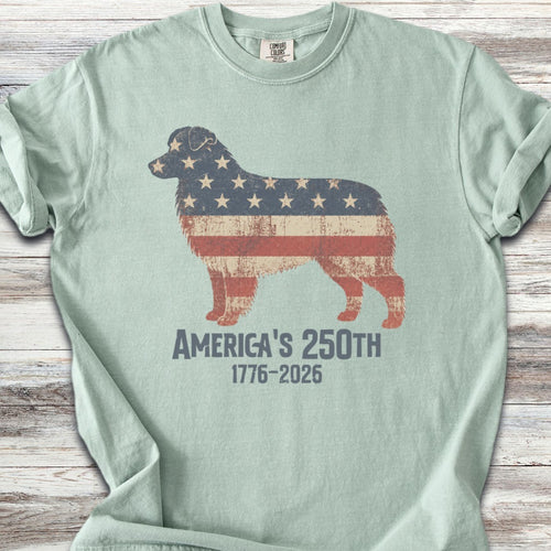 Australian Shepherd 250 - Bay