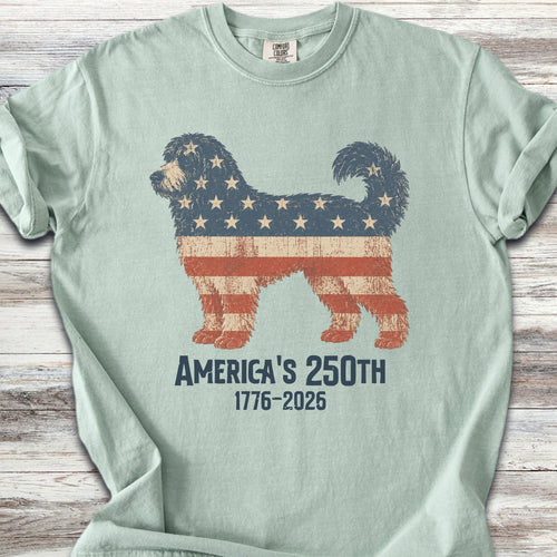 Bernedoodle 250 - Bay