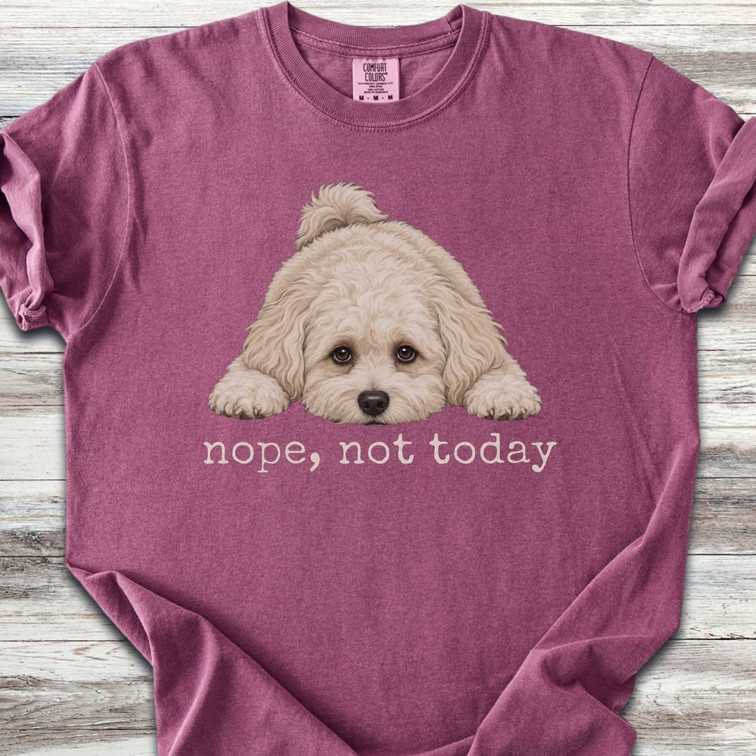 Maltipoo Nope - Berry