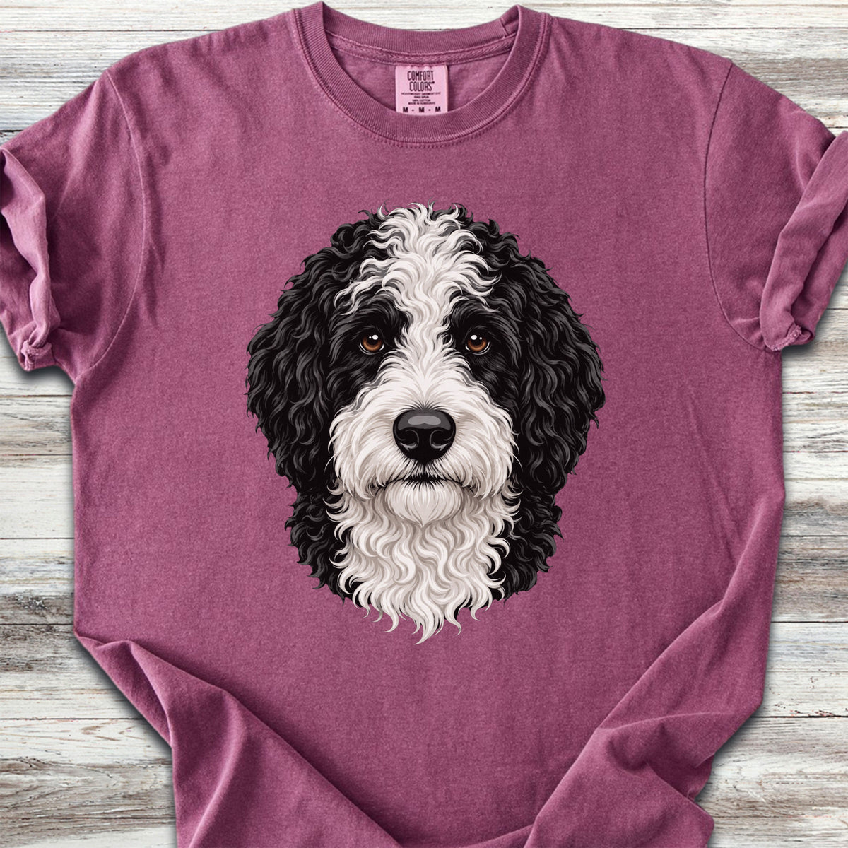 Sheepadoodle Studio Portrait - Berry