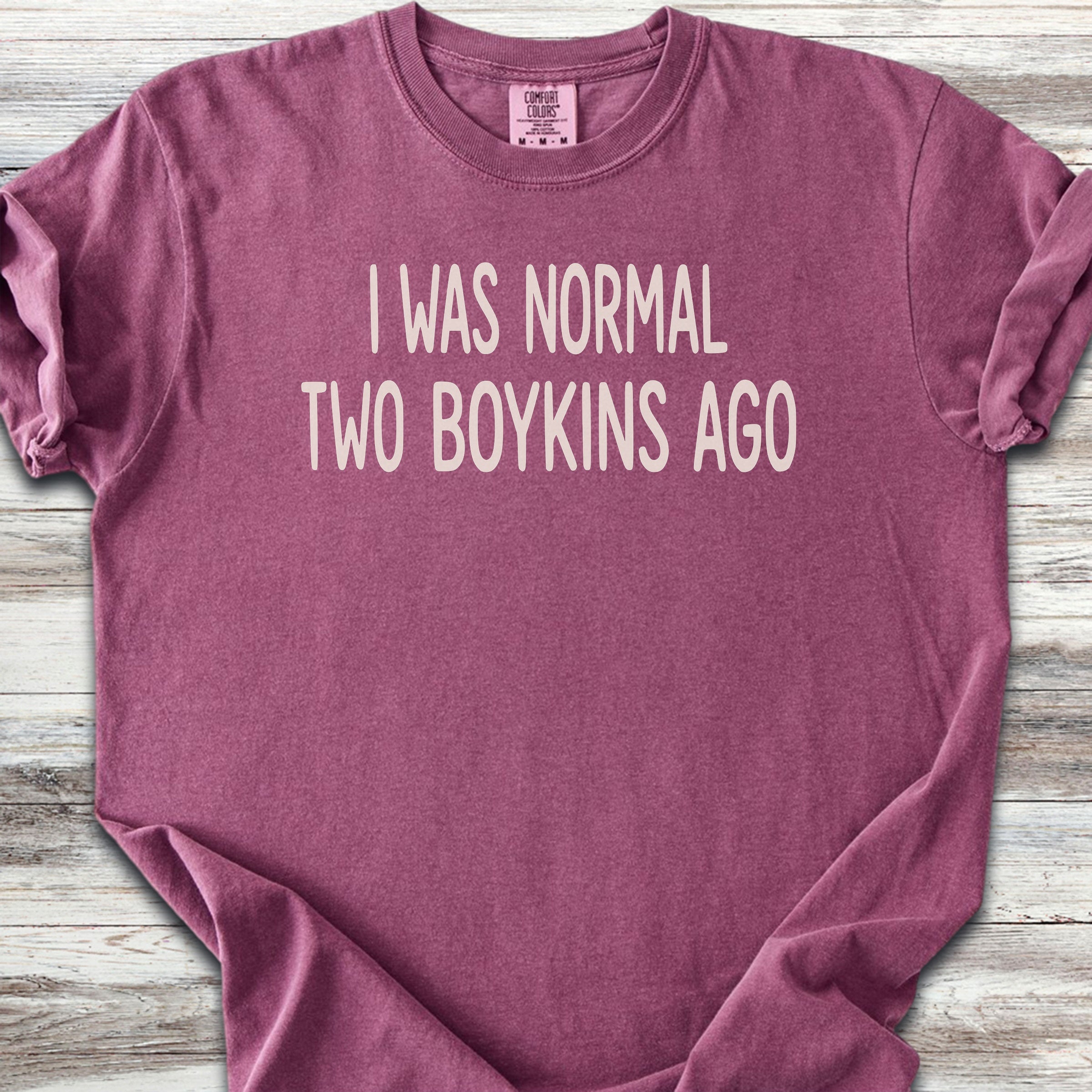 Boykin Spaniel Normal - Berry