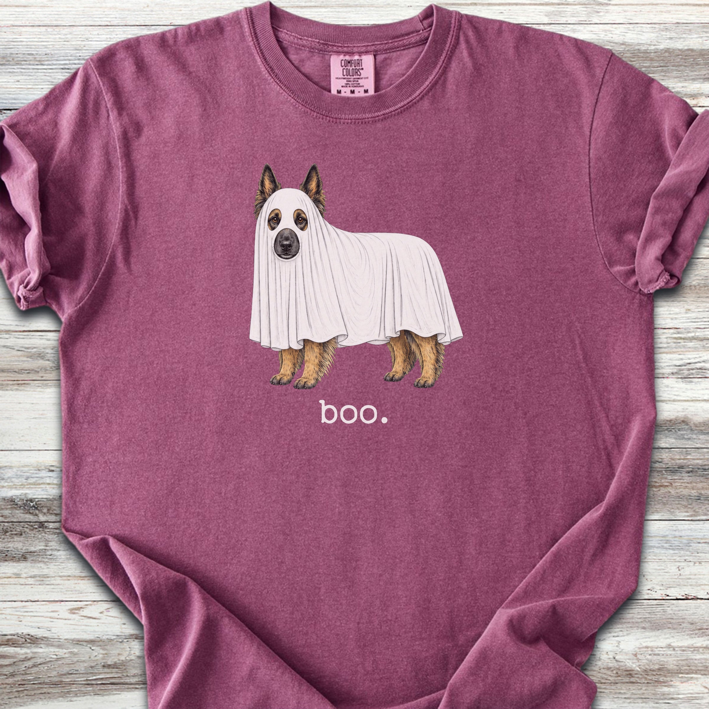 Belgian Tervuren Boo - Berry