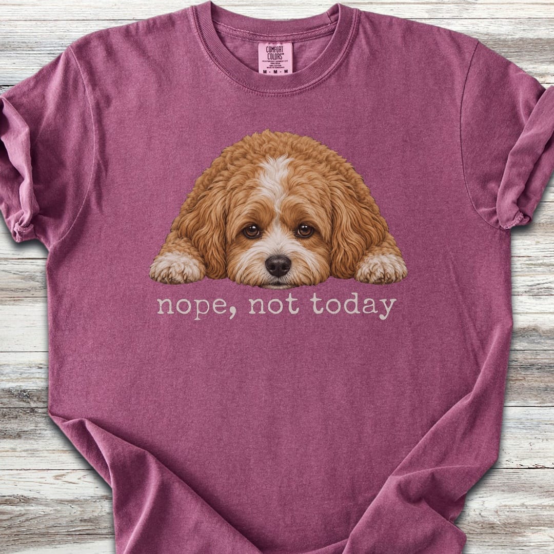 Cavapoo Nope - Berry