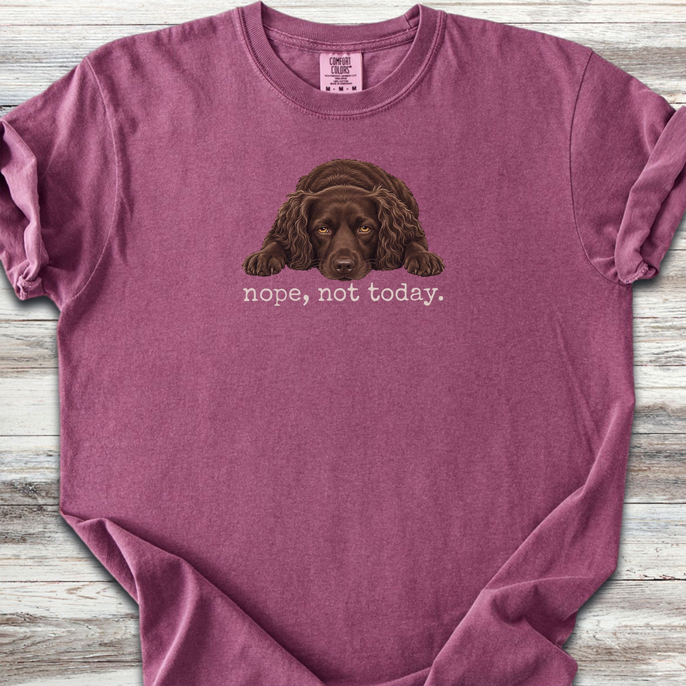 Boykin Spaniel Nope - Berry