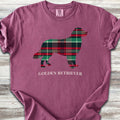Golden Retriever Winter - Berry