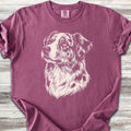 American Shepherd Loyalty - Berry