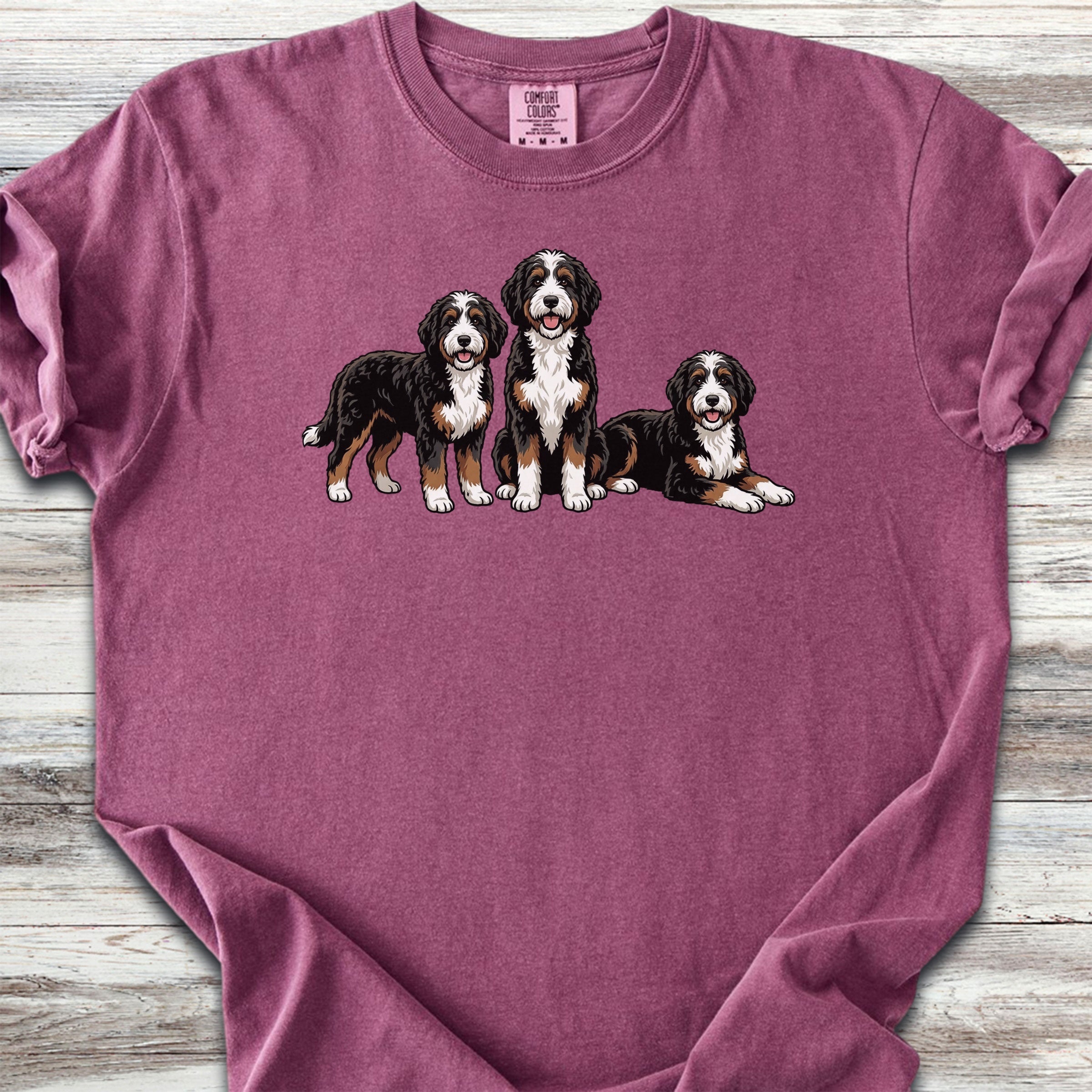 Bernedoodle Trio - Berry