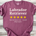 Labrador Retriever Review - Berry